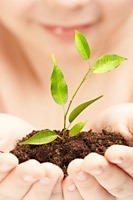 NLP Health & Healing