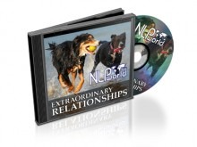 Extraordinary Relationships Cover