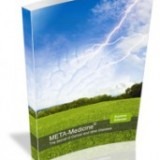 Product picture of the Meta-Medicine book | NLP World.