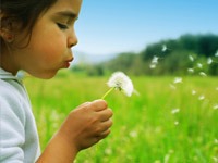 Girl with dandelion