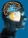 nlp-man-head-small-with-wiring-inside.gif