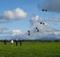 people-flying-kite.jpg