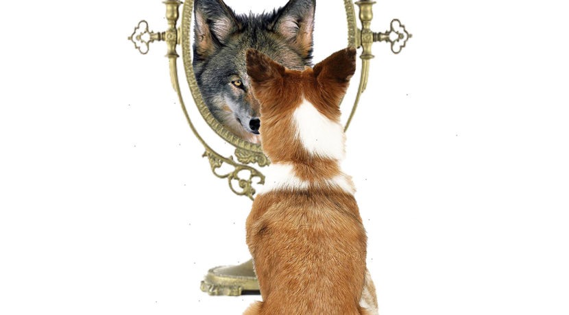 The Presuppositions of Success and Failure