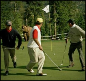 Golfer walking away