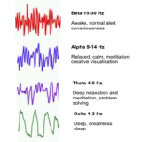 brainwaves