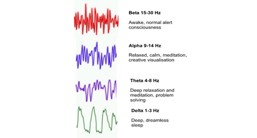 alpha beta theta delta brain wave chart