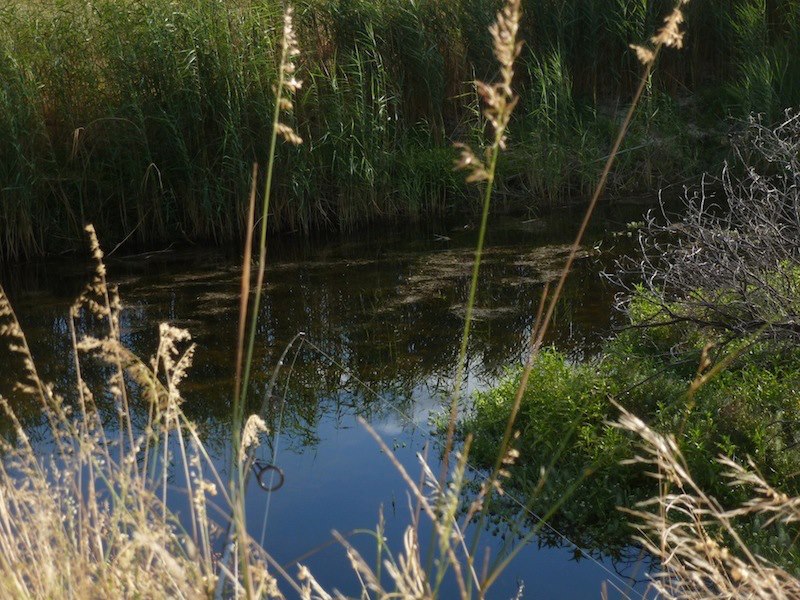 river from the bank