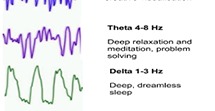 theta delta brain waves