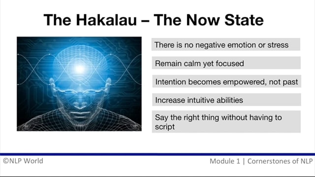 Online NLP Practitioner - Hakalau Now State - thumbnail