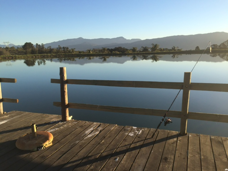 nlp retreat fishing